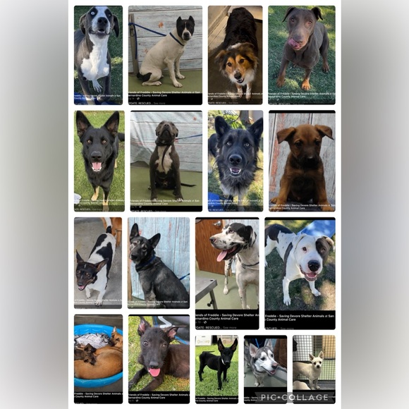 Like for show notifications! - Picture 2 of 6